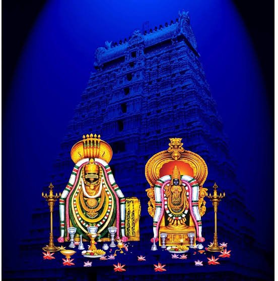 திருவண்ணாமலைக்கு 260 கோடி வயது!.. - Dhinasari Tamil