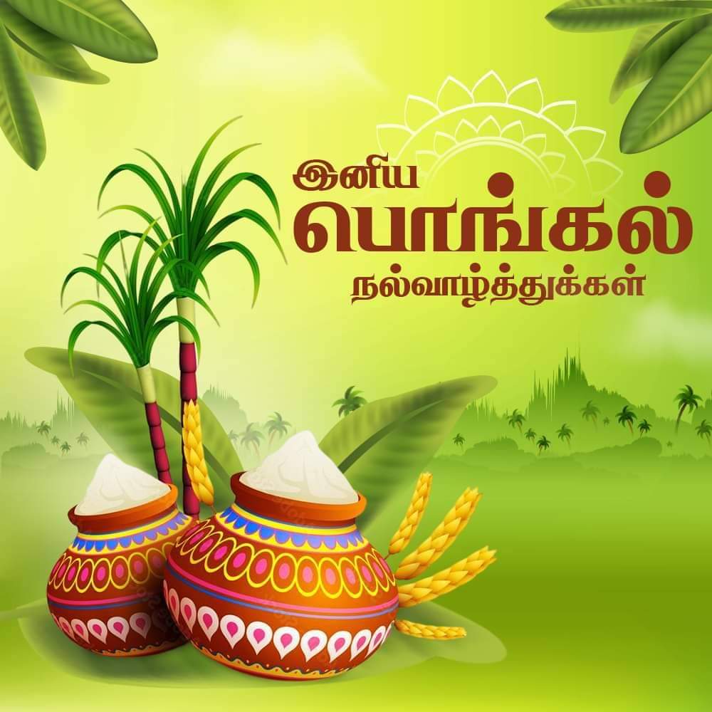 தை பொங்கல் விழா கோலாகலம்..