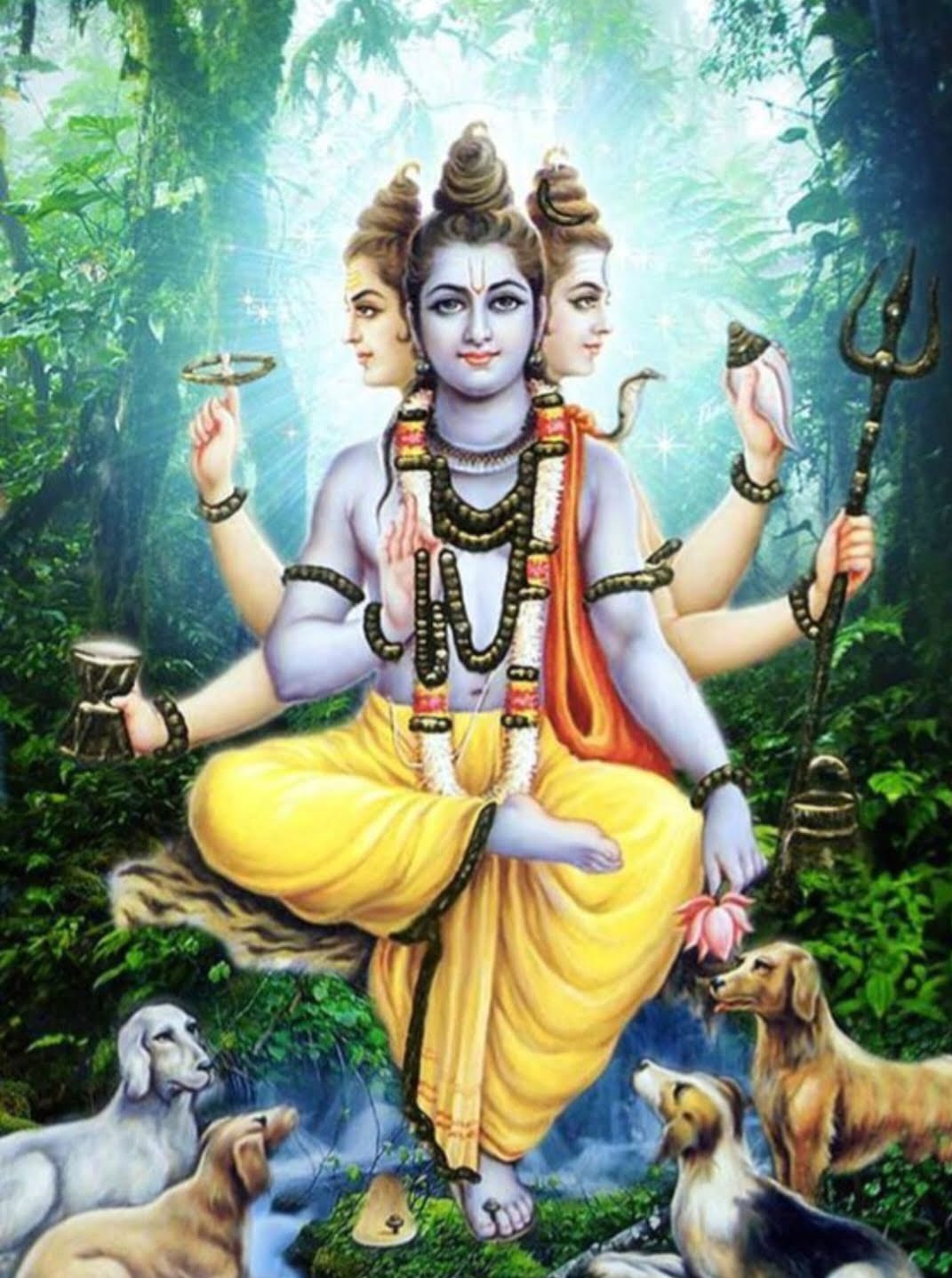 ஜென்ம நட்சத்திரத்தின் மகிமை …