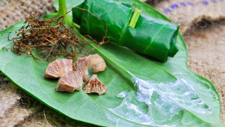 வெற்றிலை பாக்கு போடும் பழக்கம் தேக ஆரோக்கியம்.. - Dhinasari Tamil