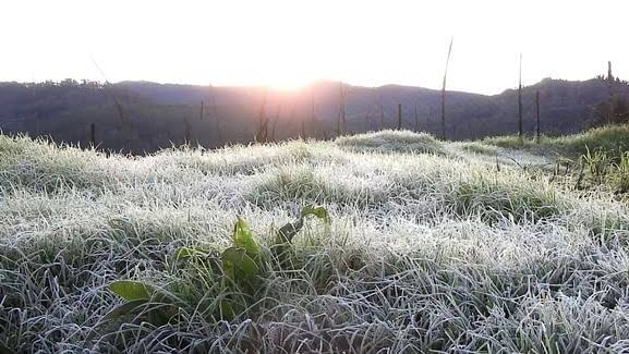 நீலகிரி, கோவை மலைப்பகுதிகளில் உறைபனிக்கு வாய்ப்பு..
