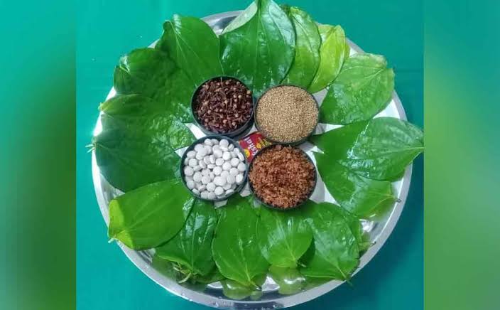 வெற்றிலை பாக்கு போடும் பழக்கம் தேக ஆரோக்கியம்.. - Dhinasari Tamil