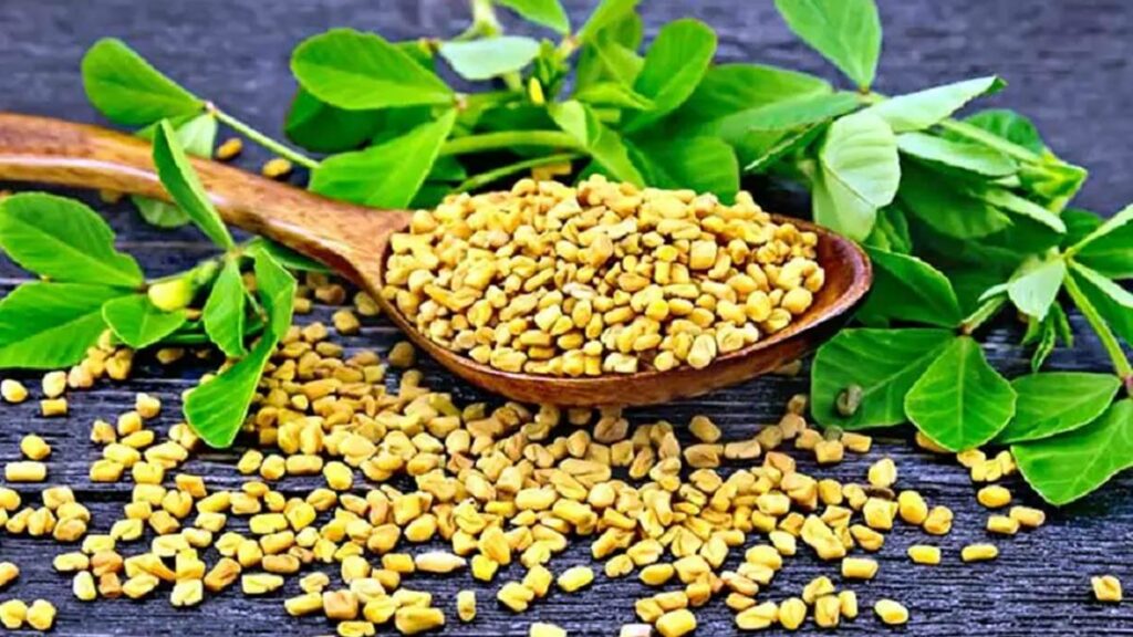 பாட்டி வைத்தியம்: வெந்தயம் செய்யிற வேலைங்க என்னல்லாம்னு தெரியுமா? தெரிஞ்சா விடமாட்டீங்க! - Dhinasari Tamil