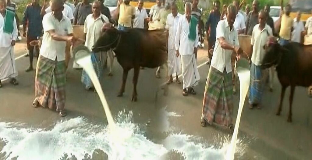 தமிழகத்தில் பால் உற்பத்தியாளர்கள் போராட்டம்.. - Dhinasari Tamil