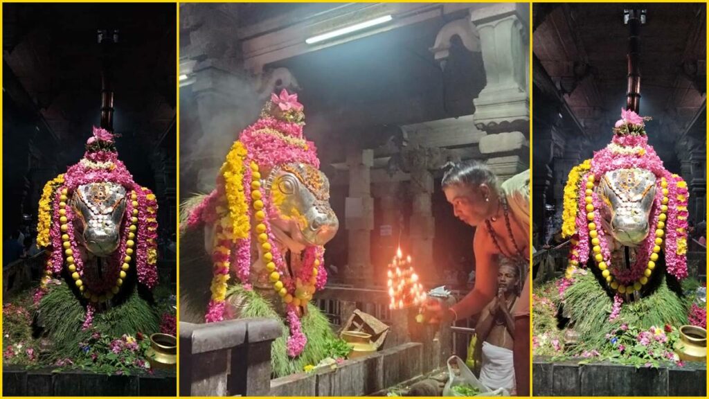 கோயில்களில் நாளை சனி மகா பிரதோஷ விழா! - Dhinasari Tamil
