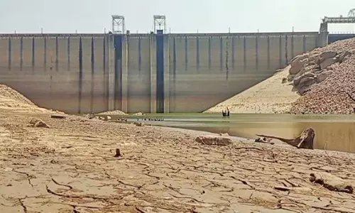 வறட்சியின் பிடியில் பாபநாசம் அணை..