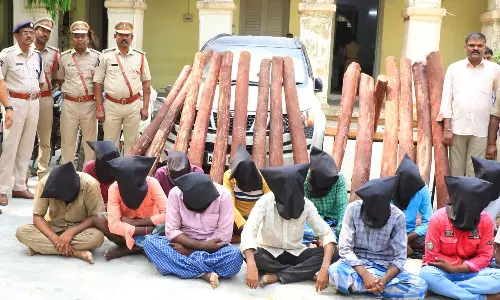 திருப்பதி-சென்னை செம்மரம் கடத்திய 13 பேர் கைது..