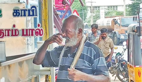 செங்கோட்டையில் நல்ல பாம்பாடு வந்து  டீ குடித்த டெய்லரால் பரபரப்பு.