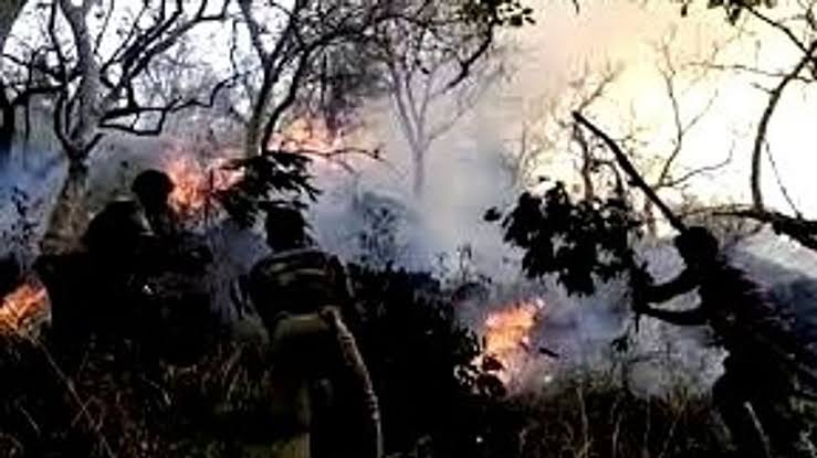 கொடைக்கானல் வனப்பகுதியில் மீண்டும் காட்டுத் தீ