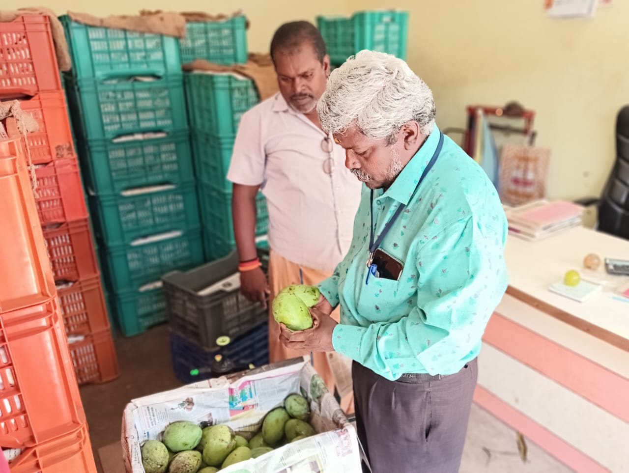 ரசாயனம் தெளிக்கப்பட்ட 3 டன் மாம்பழங்கள்‌ அழிப்பு..