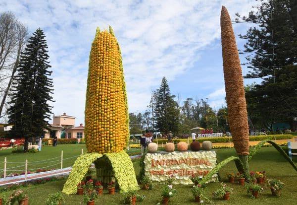 சுற்றுலா பயணிகளை கவர்ந்த கோத்தகிரி காய்கறி கண்காட்சி