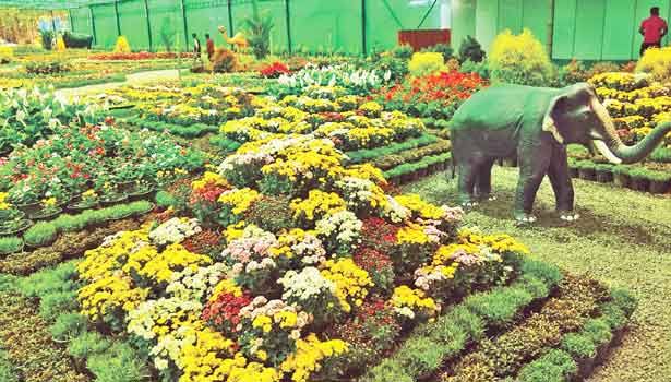 தேக்கடி மலர் கண்காட்சி வரும் 21-ந்தேதி வரை நீட்டிப்பு..