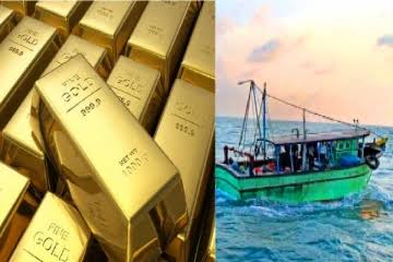மண்டபம் அருகே கடத்தல்காரர்கள் கடலில் வீசிய 10 கிலோ தங்க கட்டிகள் மீட்பு - Dhinasari Tamil