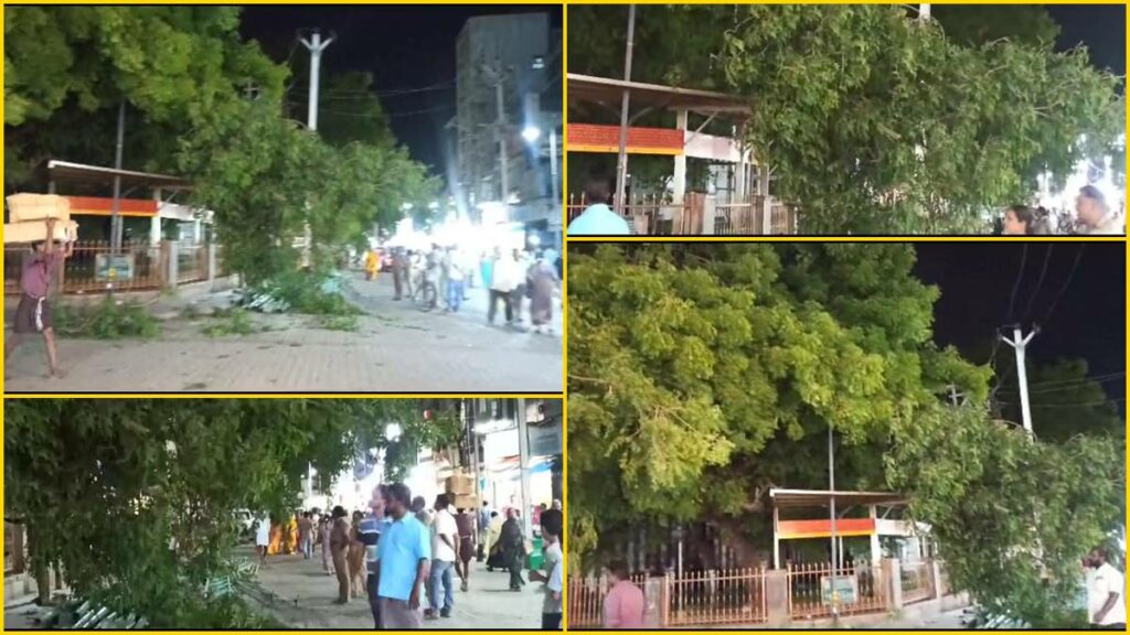 மதுரை மீனாட்சி அம்மன் கோவில் அருகே பழமையான மரம் விழுந்து நிழற்குடை சேதம்! - Dhinasari Tamil