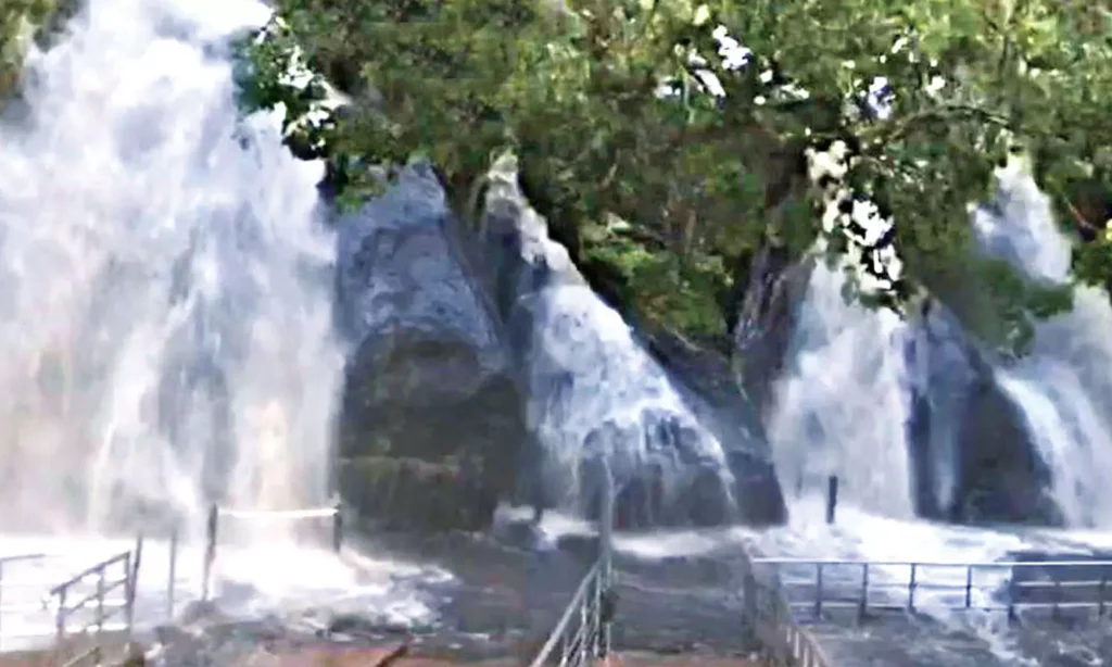 குற்றாலம் மணிமுத்தாறு அருவிகளில் வெள்ளம்.. - Dhinasari Tamil