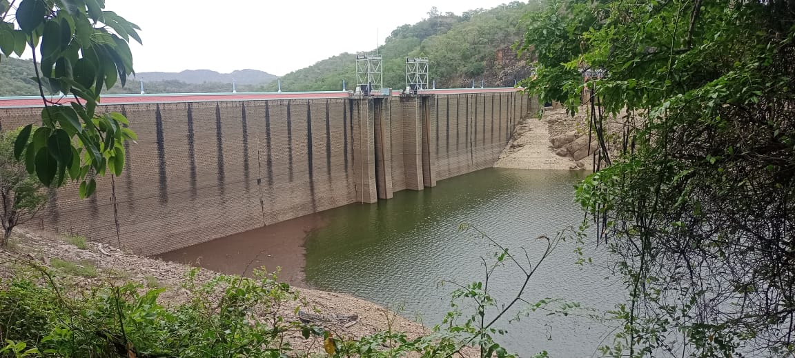 மழை-நெல்லை தென்காசி அணைகளில் நீர் மட்டம் உயர்வு..