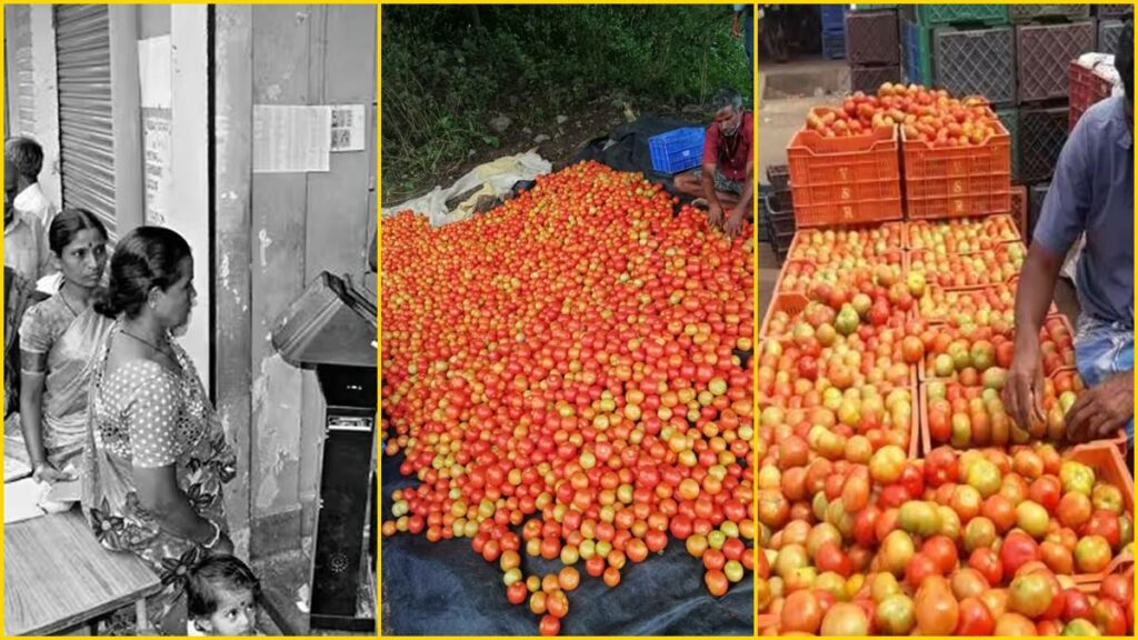 நியாய விலைக் கடைகளில் தக்காளி; சென்னையில் புது முயற்சி! - Dhinasari Tamil
