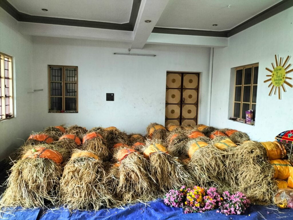 சபரிமலை ஆடி நிறைப்புத்தரிசி பூஜைக்காக நெல்கதிர்கள் கொண்டு செல்லும் ராஜபாளையம் ஐயப்ப பக்தர்கள்.. - Dhinasari Tamil