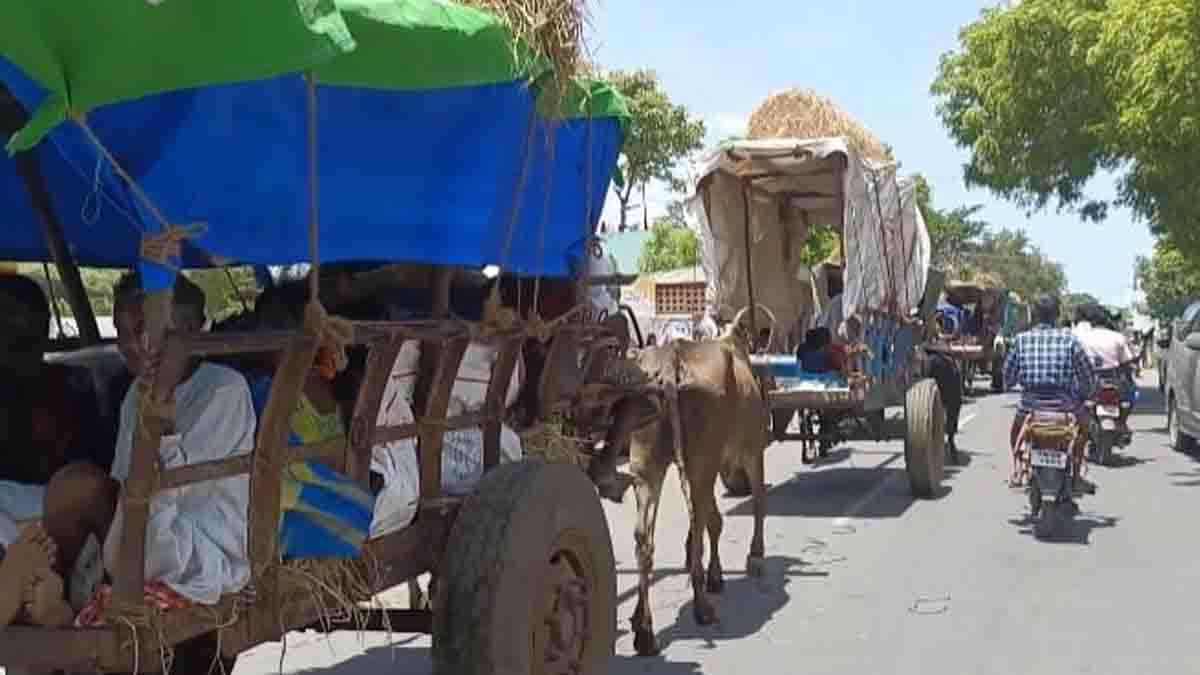 இந்தக் காலத்திலும்… அழகரை தரிசிக்க மாட்டு வண்டி பயணம்!