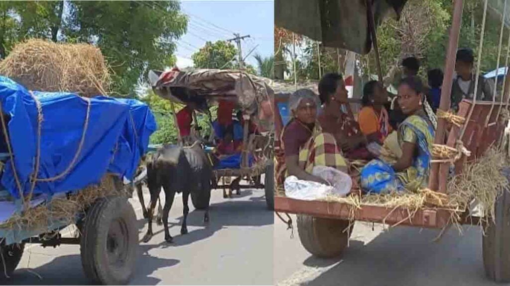 இந்தக் காலத்திலும்... அழகரை தரிசிக்க மாட்டு வண்டி பயணம்! - Dhinasari Tamil