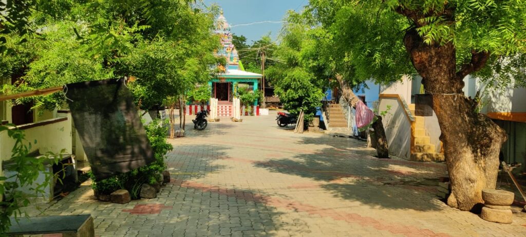 சதுரகிரி திருவிழா அனுமதி கோரி வீடுகளில் கருப்பு கொடி கட்டி போராட்டம்.. - Dhinasari Tamil