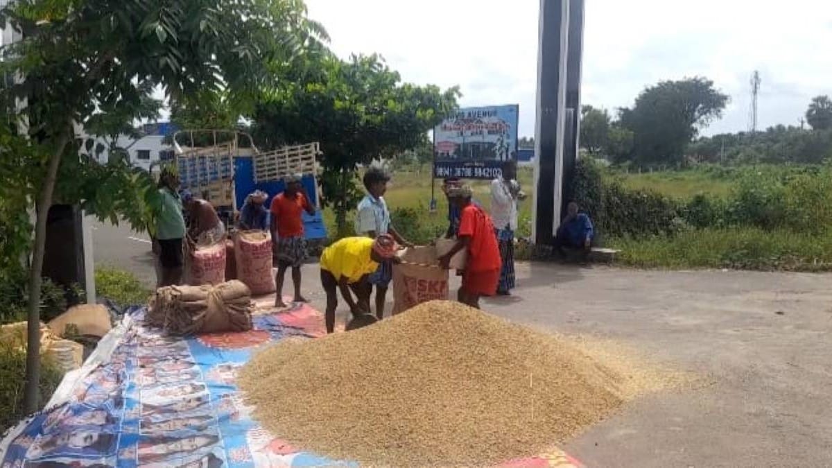 alankanallur paddy sell to private1 - 2026