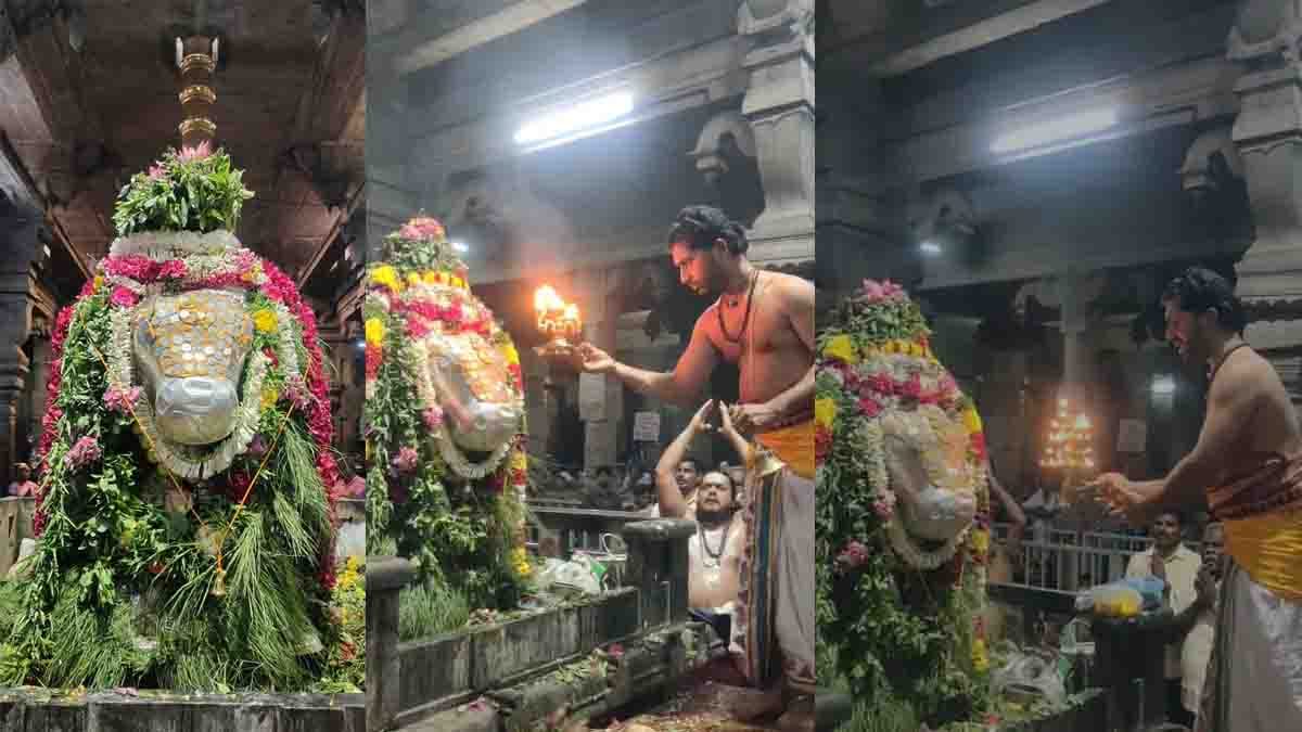 2025ன் கடைசி பிரதோஷம்; கரூர் கோயிலில் திரளான பக்தர்கள் தரிசனம்!